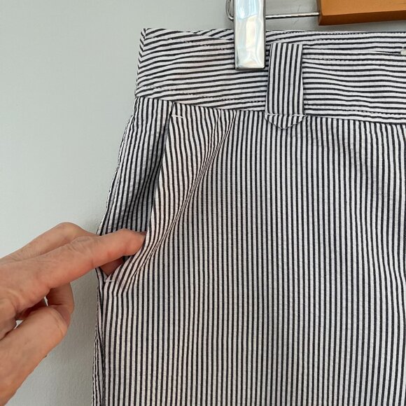 Ann Taylor LOFT Ann Striped Seersucker Pants, Size 10 - Picture 2 of 10